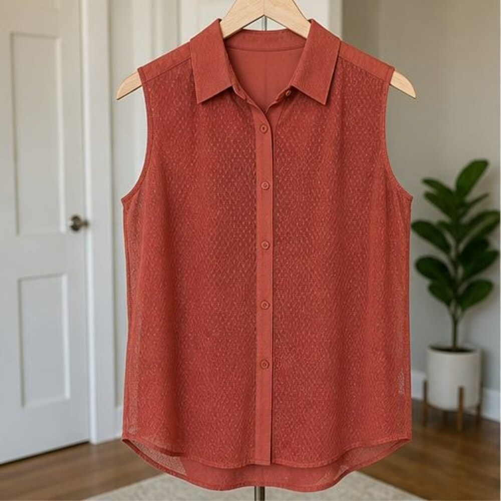Rust V Neck Top
